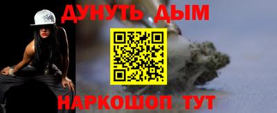 индика Новодвинск
