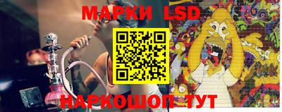 индика Новодвинск