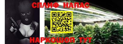 jwh Новокубанск