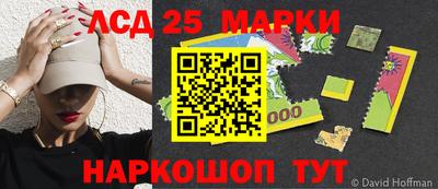 индика Новодвинск
