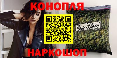 гидра Новозыбков