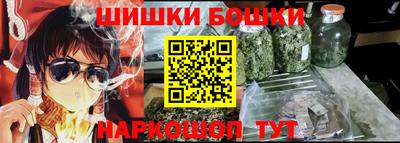 индика Новодвинск