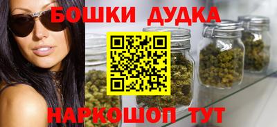 индика Новодвинск