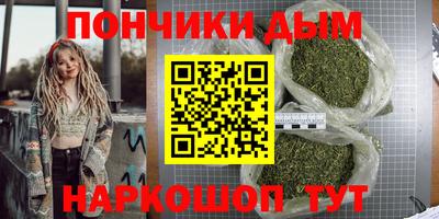 индика Новодвинск