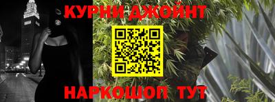 индика Новодвинск