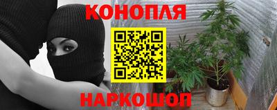 индика Новодвинск