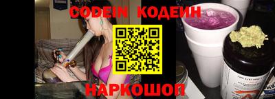 индика Новодвинск