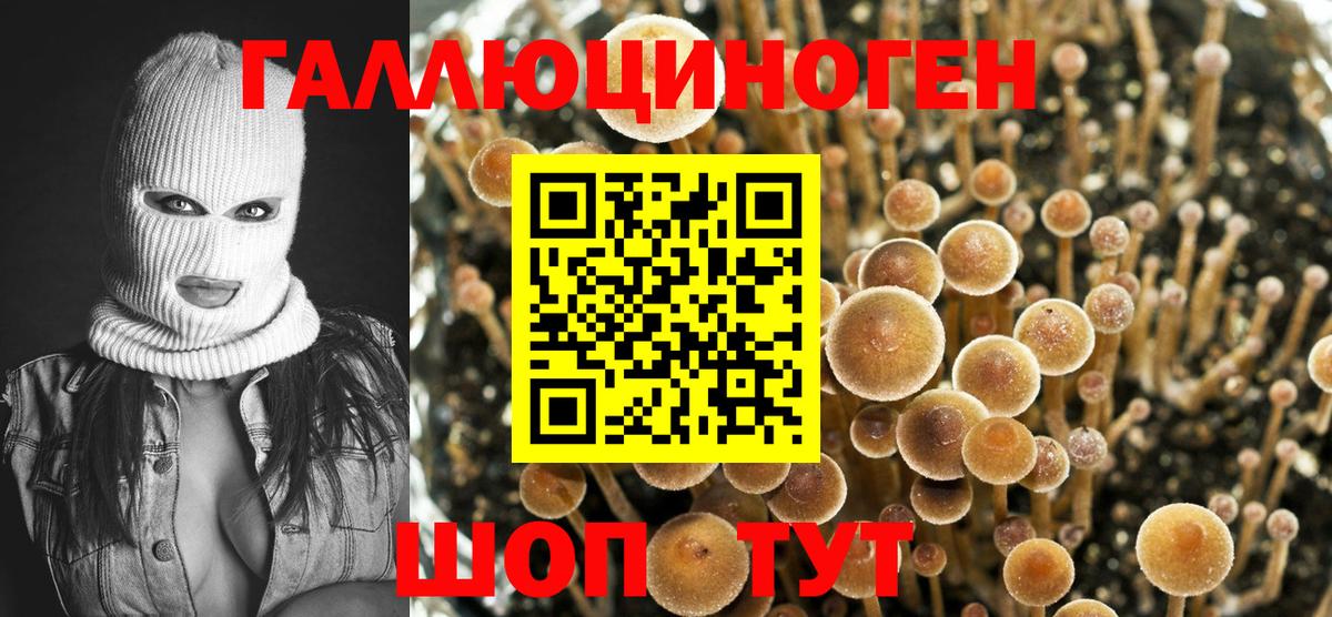 Галлюциногенные грибы MAGIC MUSHROOMS Тара